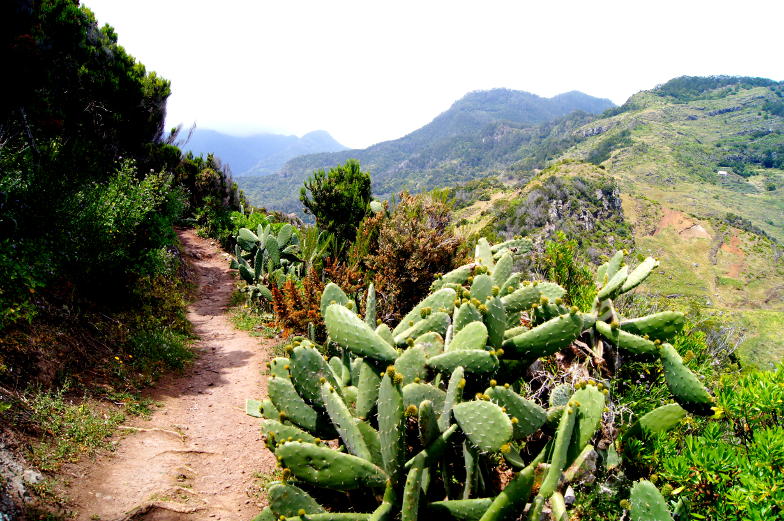 Spazierweg am Pico do Fachu mit Blick ueber Madeira