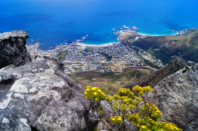 Kapstadt Tipps Blick vom Tafelberg auf Camps Bay