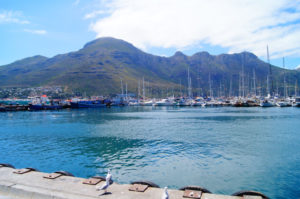 Kapstadt Tipps Hout Bay Sehenswuerdigkeiten