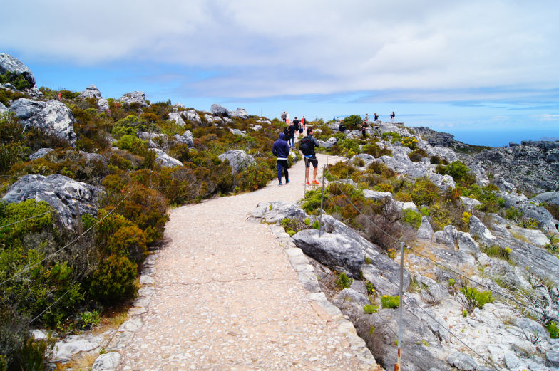 Kapstadt Tipps sicherer Spazierweg auf dem Tafelberg 