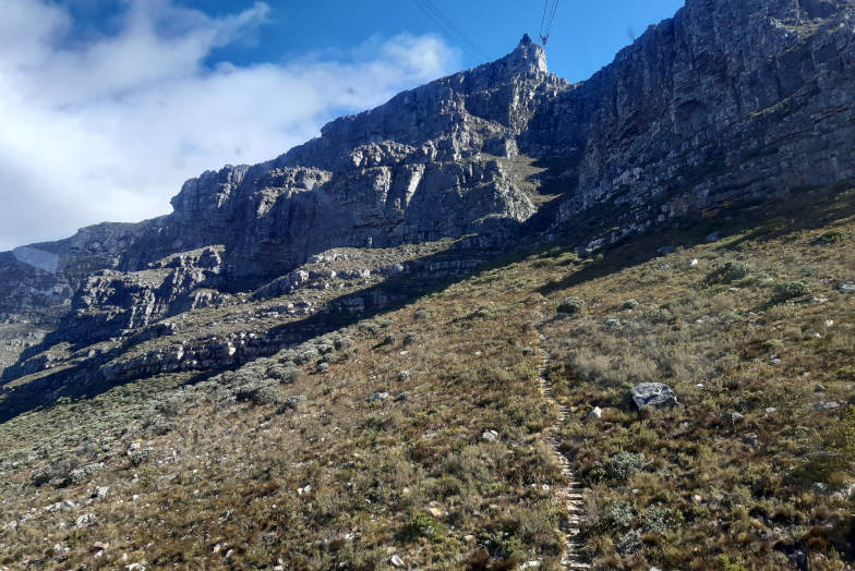 Kapstadt Tipps Wanderweg auf den Tafelberg