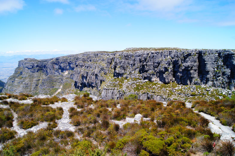 Kapstadt Tipps Tafelberg Plateau