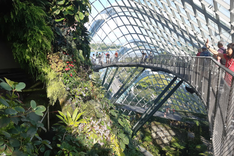 Spaziere am Cloud Forest entlang