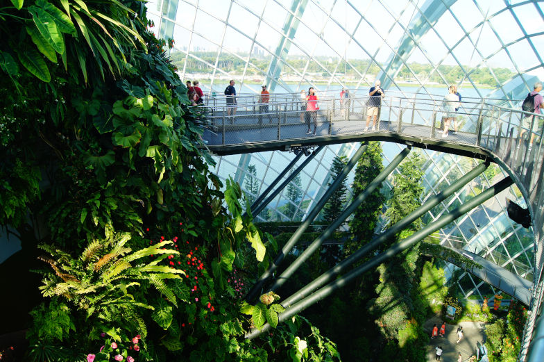 Der Cloud Forest Besuch lohnt sich 