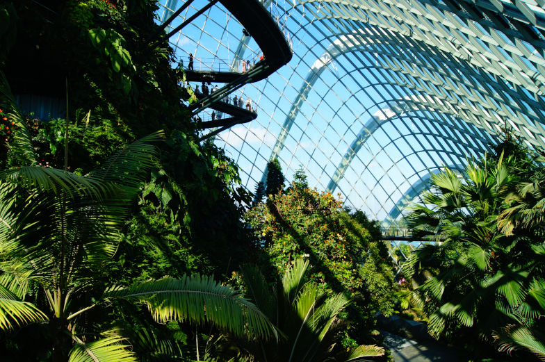 Die beste Sehenswürdigkeit im Gardens by the Bay