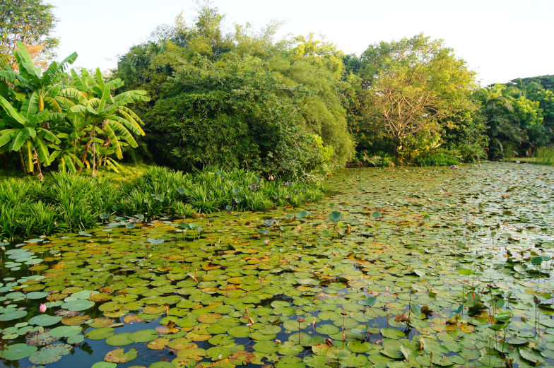 Das musst du im Gardens by the Bay ansehen