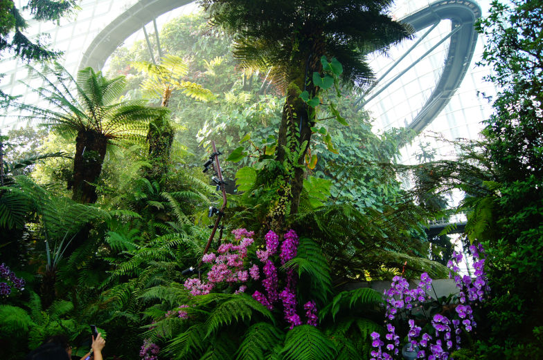 Flower Dome im Gardens of the Bay das musst du wissen