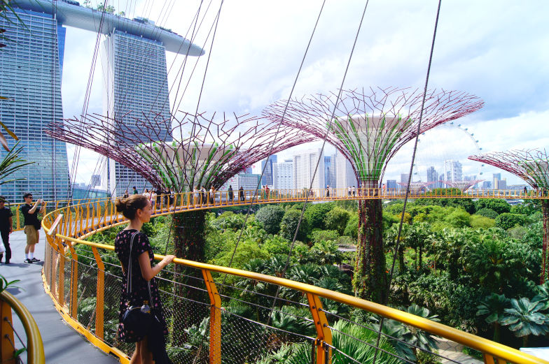 Skyway mit Ausblick auf Gardens by the Bay