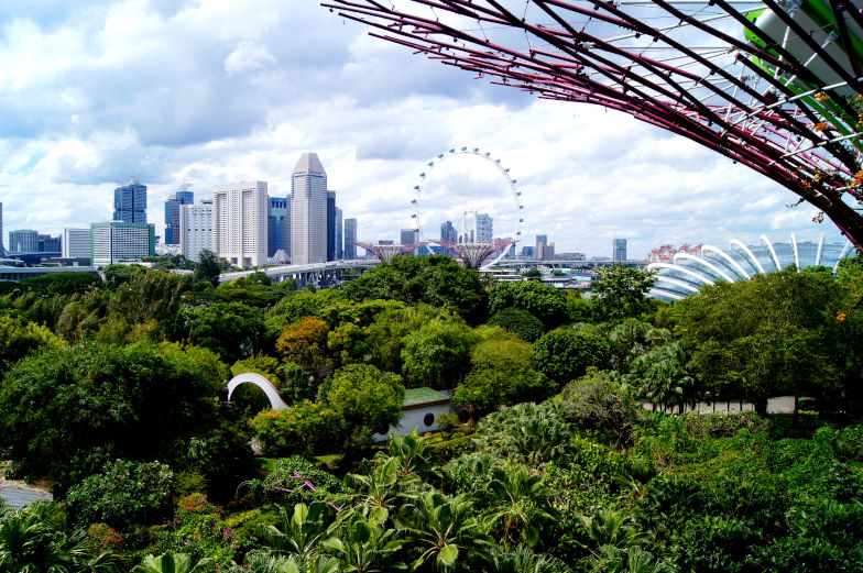 Skyway Blick auf Riesenrad vom Gardens by the Bay