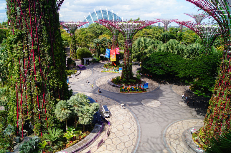 Supertree Grove Gardens by the Bay lohnt sich