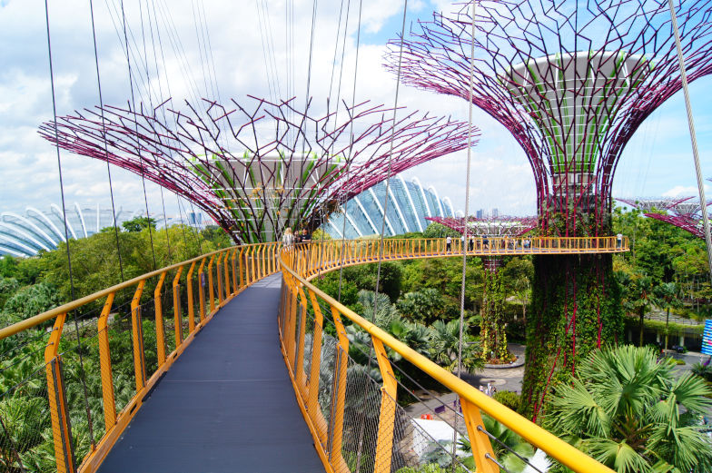 Skyway Gardens by the Bay bester Ausblick