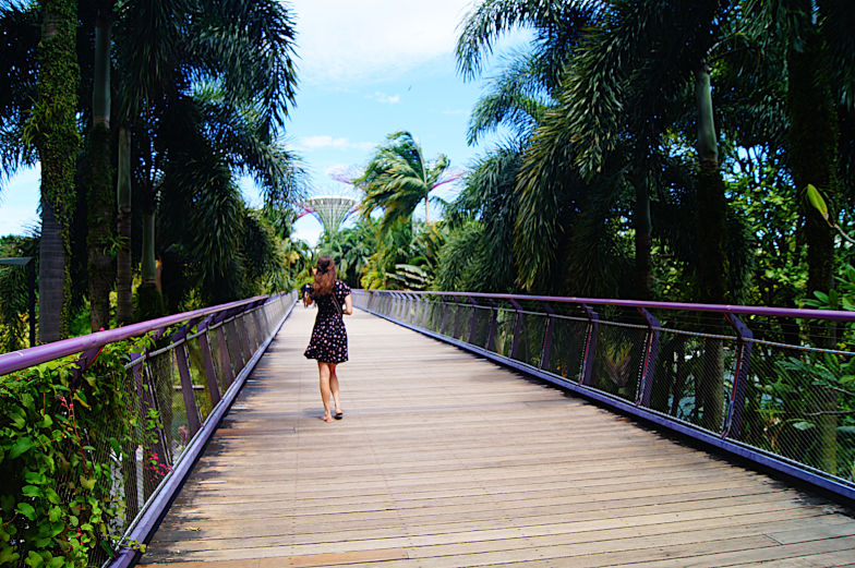 Erfahrung und Tipps Gardens by the Bay