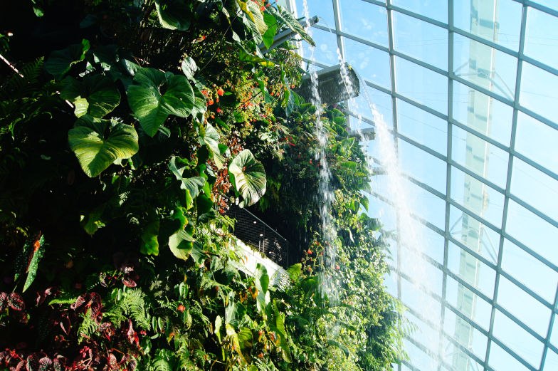 Besuche den Cloud Forest im Gardens by the Bay