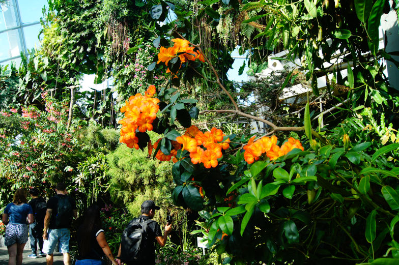 Blumenmeer im Grdens by the Bay