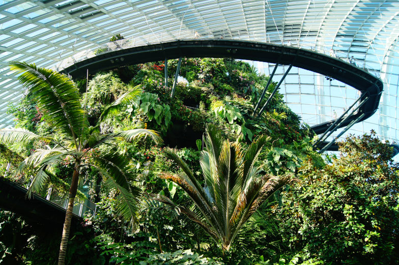 Cloud Forest im Gardens by the Bay das solltest du wissen