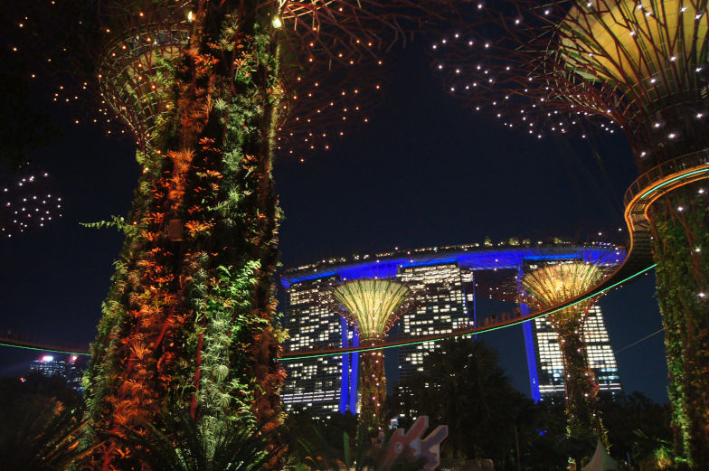 Garden Rhapsody kostenlose Lichtershow Gardens by the Bay