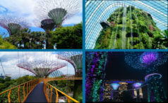 Gardens by the Bay welche Attraktionen gibt es und was lohnt sich