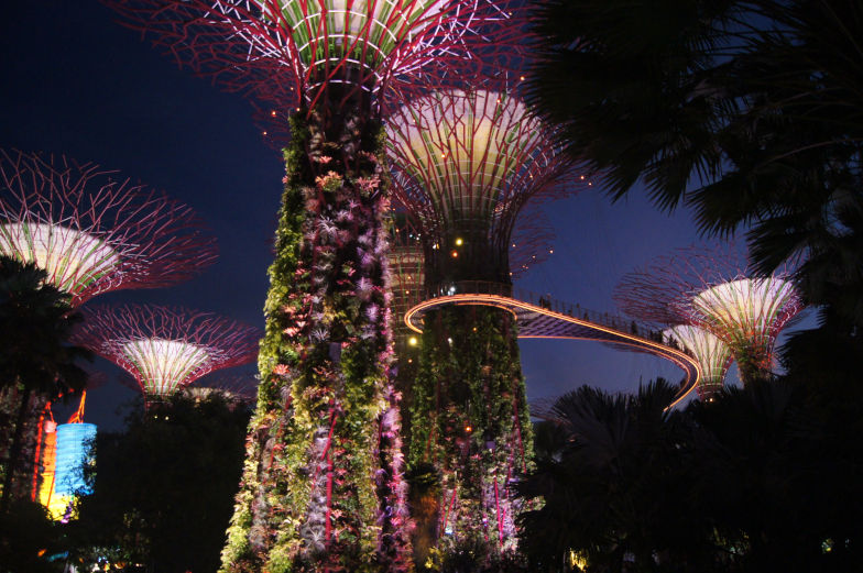 Supertree Grove Beleuchtung am Abend