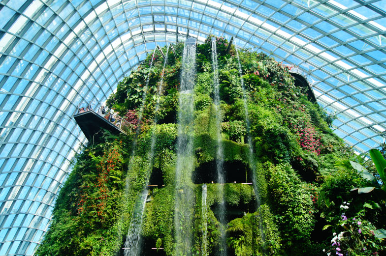 Das musst du sehen Cloud Mountain im Gardens by the Bay 