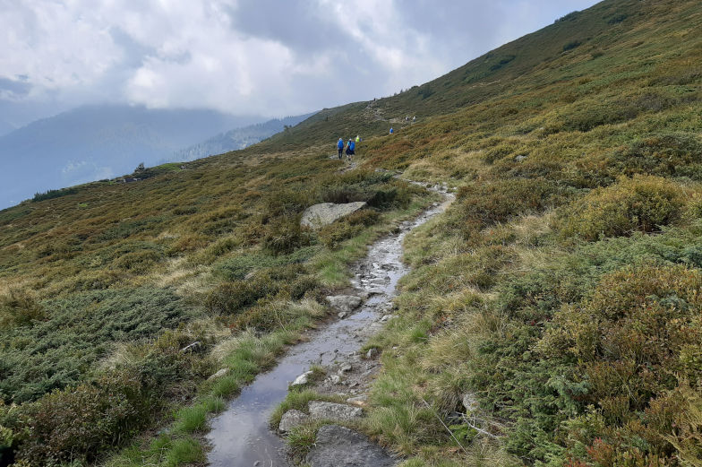 Hanwag Makra Trek GTX Lady Wanderstefel wasserdicht