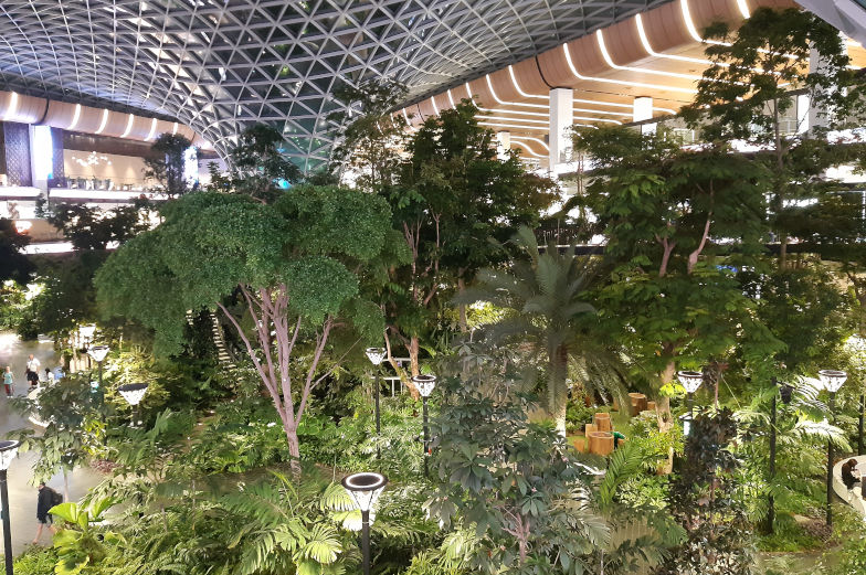 Doha mit tropischen Garten im Flughafen